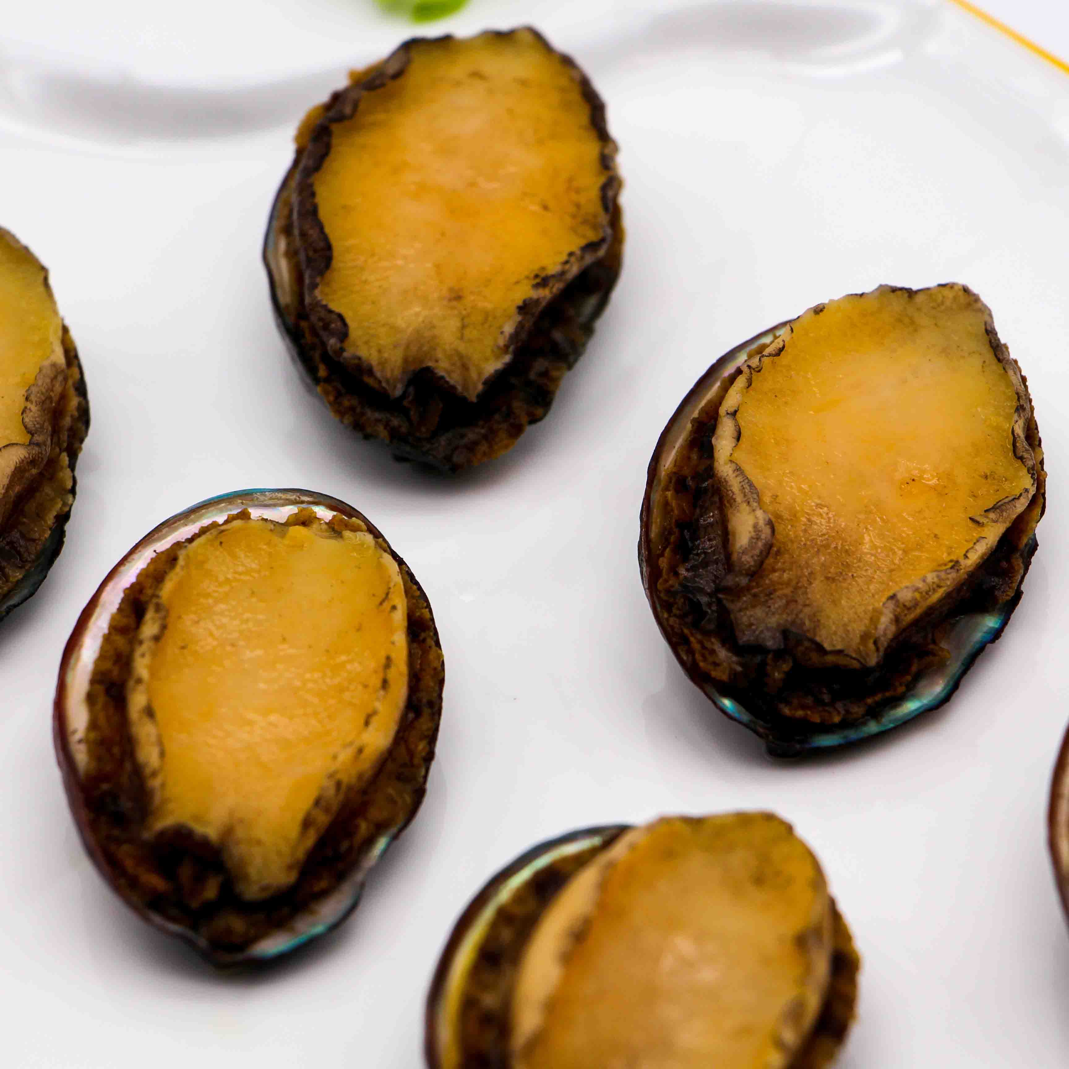 Dondurulmuş Haşlanmış Abalone Deniz Ürünleri, Kabuklu ve İç Organları Çıkarılmış